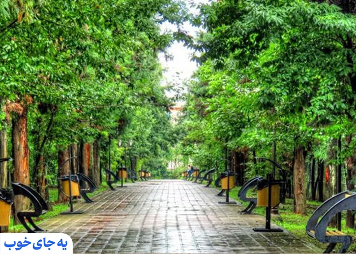 باغ محتشم رشت باغ محتشم رشت